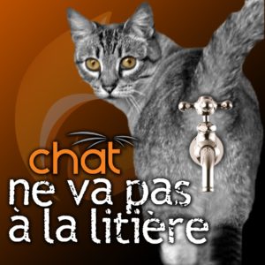 CHAT ne va pas à la litière - 27 novembre 2025 / Conférence web EN DIRECT au Québec