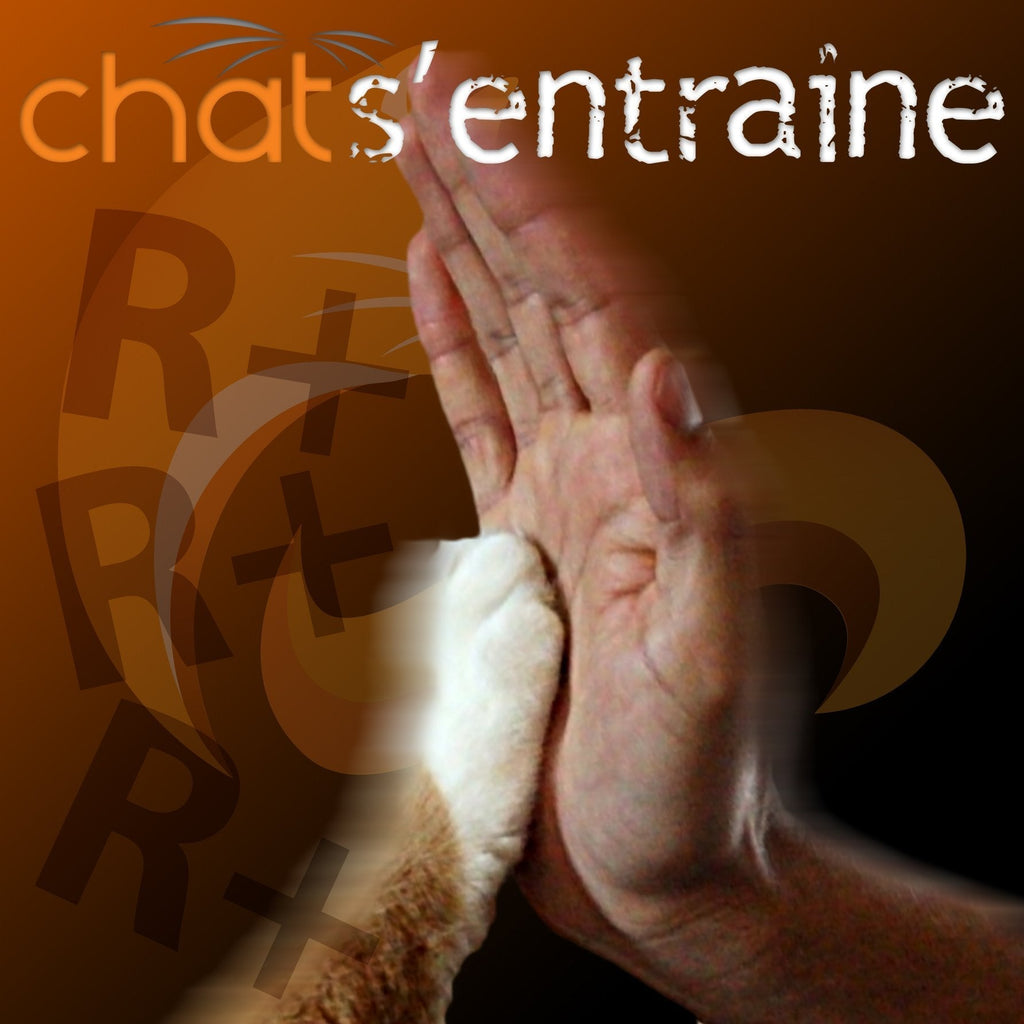 CHAT s'entraîne - 17 octobre 2023 / Conférence web EN DIRECT (au Québec)