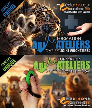 Duo d'Animateliers Entraînement-Clicker ET Soins volontaires - 11 et 12 novembre 2023 / Formations au Familizoo
