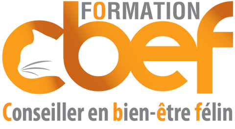 Conseiller en bien-être félin (CBEF)