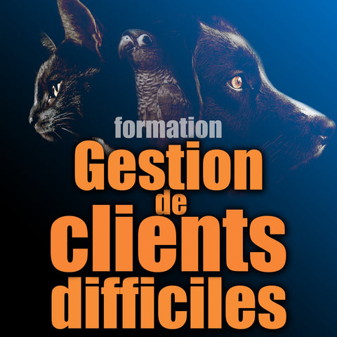 Service à la clientèle : Gestion de clients difficiles - 30 octobre 2025 / Conférence web au Québec