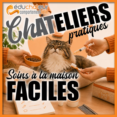 ChAtelier soins à la maison 26 sept 2026 / Présentiel Montréal