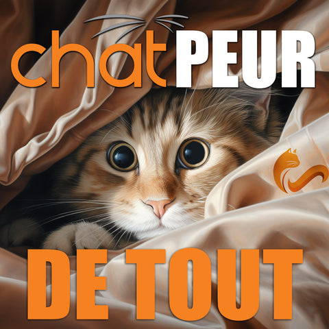 Conférence Chat peur de tout - 20 novembre 2025 / EN PRÉSENTIEL AU SAGUENAY