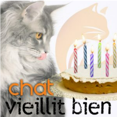 CHAT vieillit bien - 12 mars 2025 / Conférence web EN DIRECT au Québec