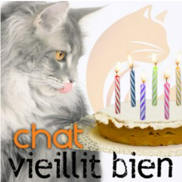 *Nouveau* CHAT vieillit bien - 14 novembre 2023 / Conférence web EN DIRECT (au Québec)