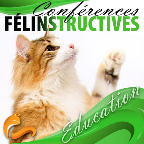 Conférence Félinstructive : Éducation  - 28 octobre 2023 / Conférence web EN DIRECT (au Québec)