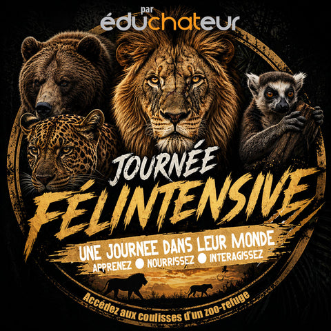 Journée Félintensive 29 août 2026 / Activité au Familizoo