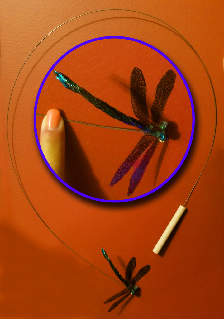 Bâton libellule / Dragonfly stick